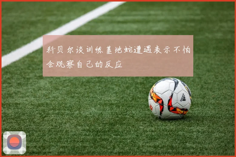 科贝尔谈训练基地蛇遭遇表示不怕会观察自己的反应